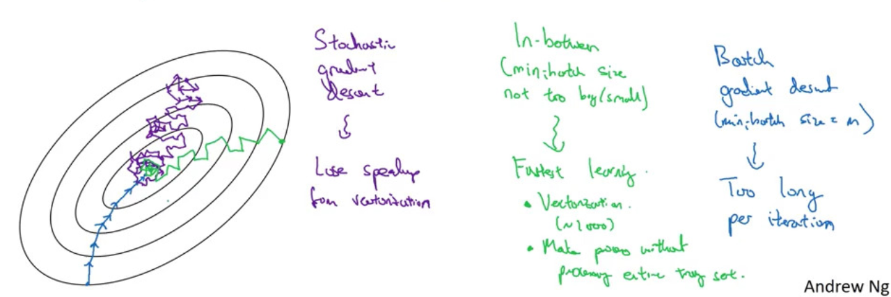 stochastic gradient descent